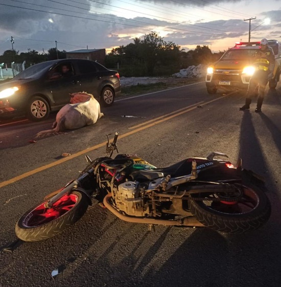 Motociclista morre após atropelar animal na SE-100, em Pirambu